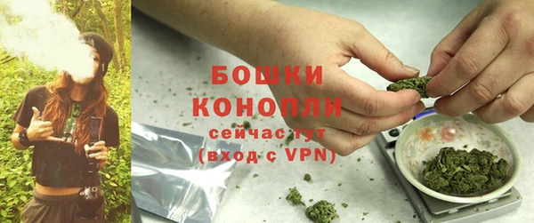 бошки Арсеньев