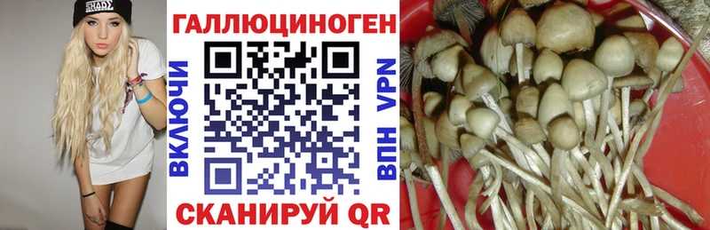 Галлюциногенные грибы прущие грибы  где купить наркотик  Малмыж 
